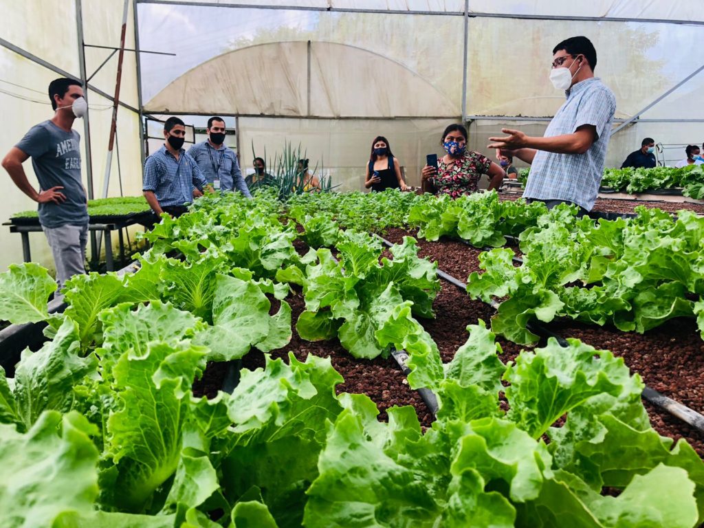 Ciclo de capacitaciones: Producción y Manejo de Almacigos