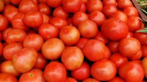 Tomate