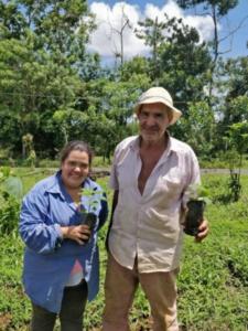 Certificación de Vivero de Paulownia sp.Finca de la Sra. María Fernanda Artavia, ubicada en la Palmera de San Carlos, provincia de Alajuela.